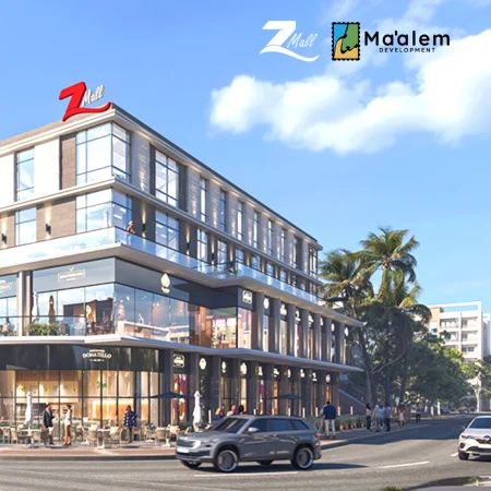 Advantages and Disadvantages of Z Mall