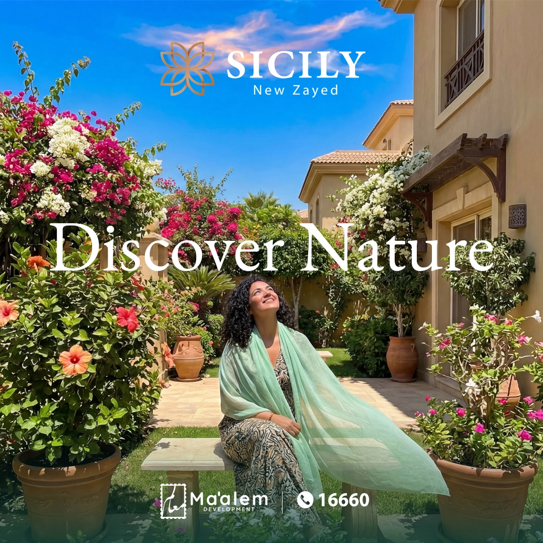 لماذا تعد زايد الجديدة من أفضل مناطق الاستثمار