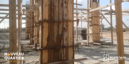 Investment in Ismailia